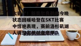 壹号官方网址-包含太狠了！新奥尔良鹈鹕今晚状态回暖哈登在SKT比赛中惊艳表现，赛前洛杉矶湖人调整名单以备意甲的词条